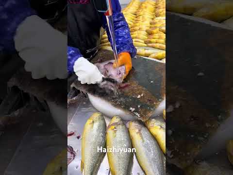 #seafood #food #fishing #seafoodprocessing #equipment #fish