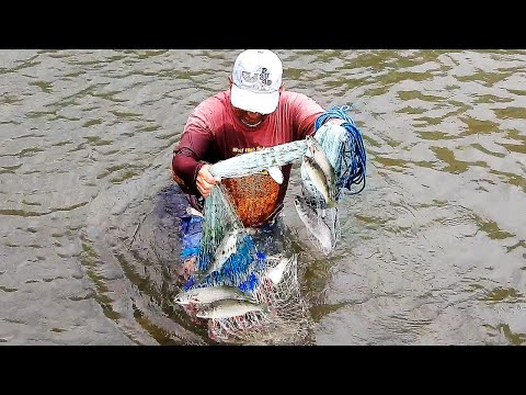 ¡IMPRESIONANTE DÍA de PESCA con TARRAYA en un LUGAR PERFECTO!