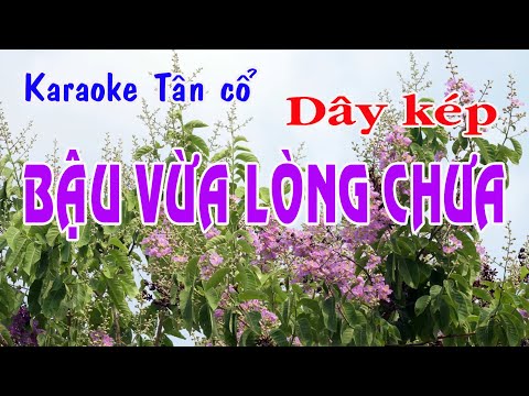 Karaoke tân cổ BẬU VỪA LÒNG CHƯA – DÂY KÉP