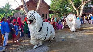 MACAN MACANAN DAN DRUMBAND SINGO MANGGALA DI BAJURAN CERMI BONDOWOSO