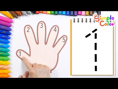 Learn the numbers 1 to 5 while reading a storybook | Count your fingers | Put the numbers in order
