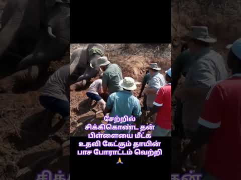 மனிதமே சிறந்தது 🙏
