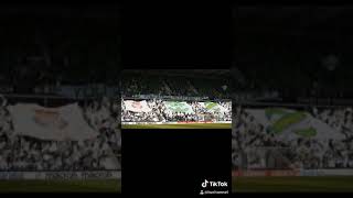 Hibs fans slideshow