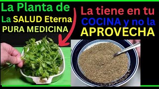 Esta PLANTA cura todas esta enfermedades oculta, te sorprenderá con sus beneficios
