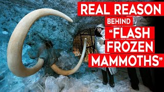 Flash-Frozen Mammoths and Their Buttercups - What Killed the Woolly Mammoth?
