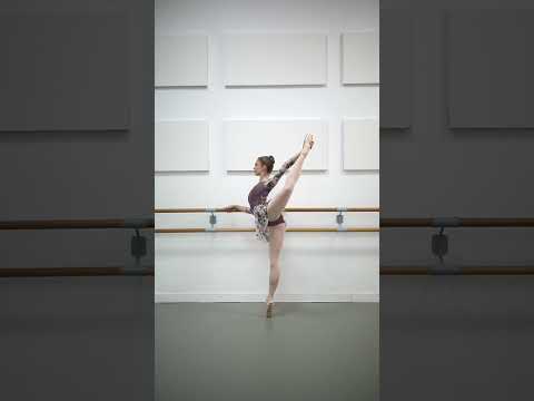 LA VIE EN BLEUE New Collection FW23 | Intermezzo Ballet Dancewear
