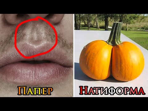 Привычные вещи, имеющие необычные названия.