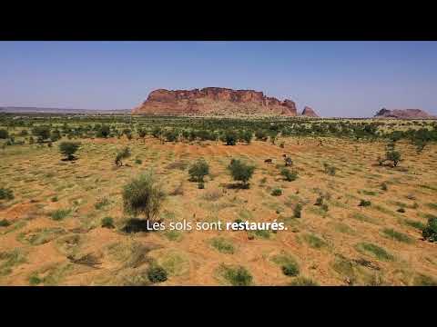 Barrages pour l’Avenir : Cultiver la Résilience en Mauritanie