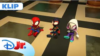 🦖 Jaszczur i szkielet dinozaura | Spidey i super-kumple | Disney Junior Polska