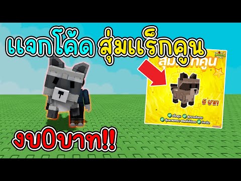 เเจกโค้ดสุ่มเเร็กคูนงบ 0บาท จะได้ไหม!? Grow a Garden