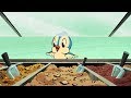 Bird Care and Relationships