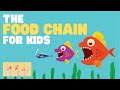 Understanding the Food Chain