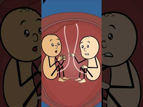 Death ke aage ki life #animation