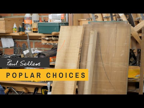 Poplar Choices | Paul Sellers