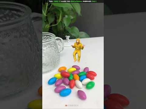 Monkey Food chocolate Toffee🫐🐒New Viral Gadgets, Smart Appliances, Kitchen Utensils/ Home Inventions