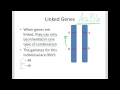 Linked Genes and Inheritance Concepts