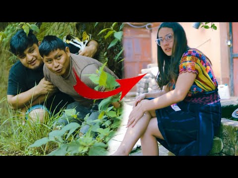 Mejores amigos enamorados de la misma mujer.