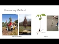 Nursery Crop Production Concepts