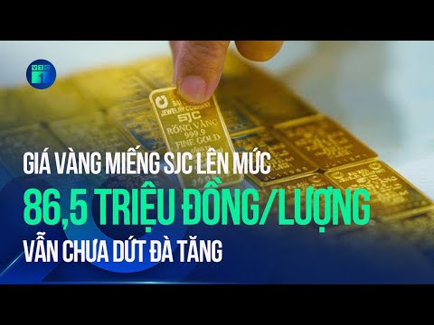 Bản tin chiều 22/11: Giá vàng chưa dứt đà tăng, vàng miếng SJC lên mức 86,5 triệu đồng lượng | VTC1