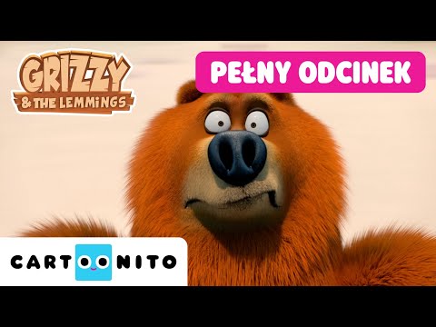 CAŁY ODCINEK Stuknięta kokosowa rodzinka | Grizzy i lemingi | Kreskówki dla dzieci | @CartoonitoPL