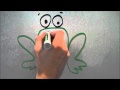 Food Web Roles and Energy Flow