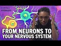 Introduction to Psychology and Neuroscience