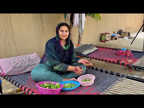 Bhindyaan Bnana Vi Tay Koi Koi Janda | Special Cooking Vloge | Aliza Sehar