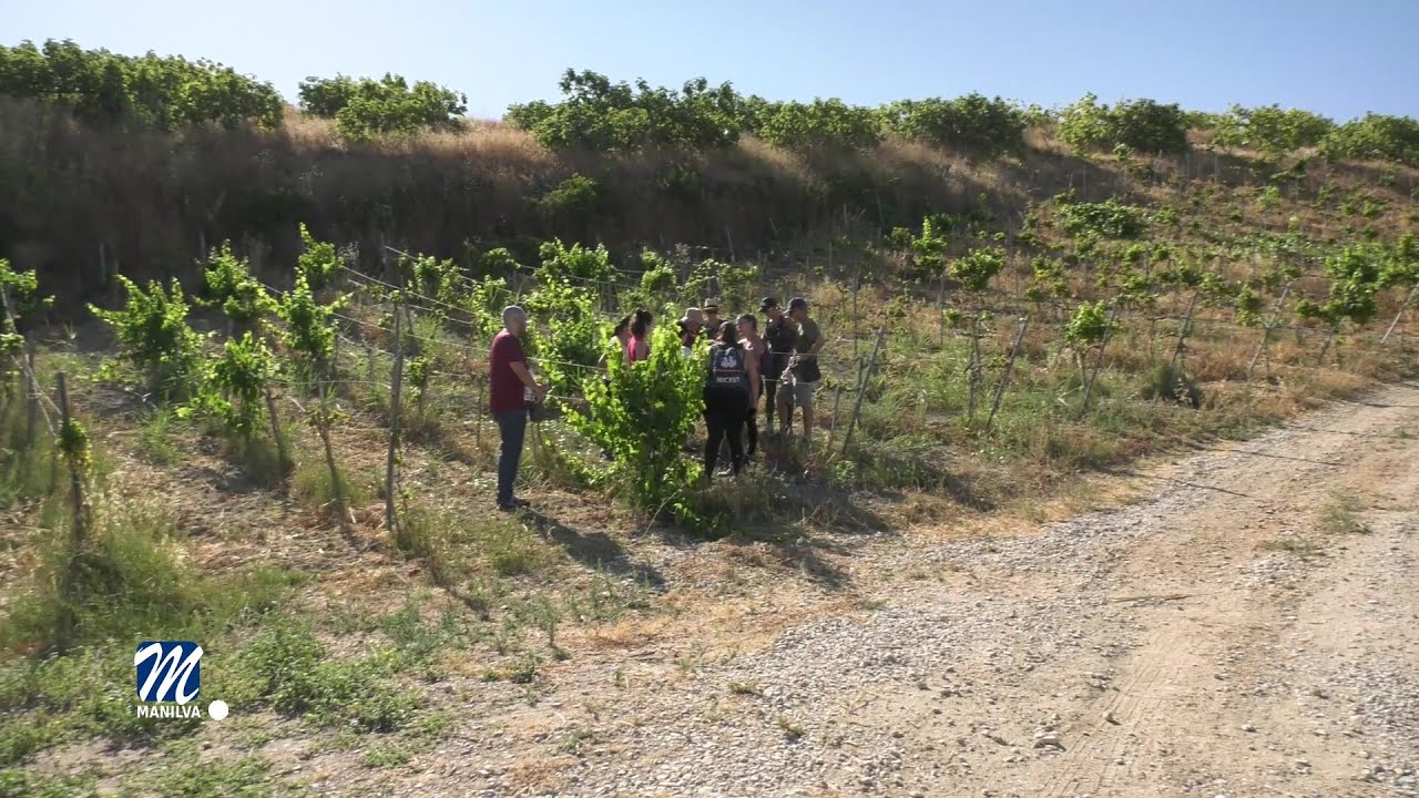Visita de los alumnos del curso de vinos a la Finca Bocanegra