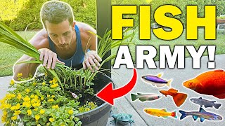 How I Keep 1000+ Aquarium Fish Alive Without Losing My Mind...