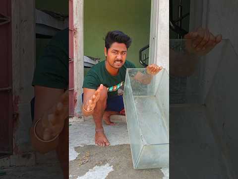 একুরিয়াম টা ভেঙ্গে গেল | 🐠 😭 | #minivlog #vlog