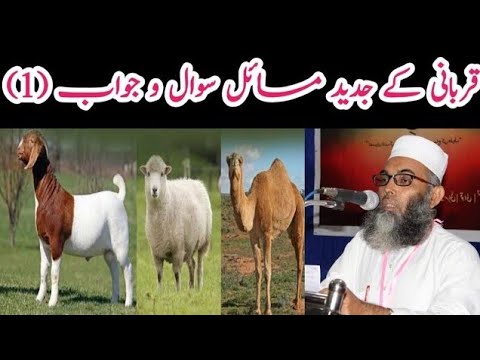 🔴 Qurbani Ke Jadeed Ahem Masail Sawal O Jawab By Dr.Mufti Md Mustafa Nadwi