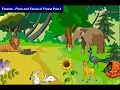 Forest Ecosystem Characteristics and Functions