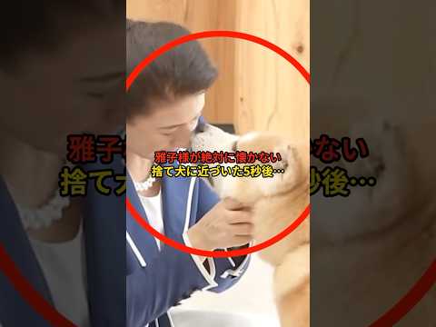 捨てられた秋田犬が、皇后雅子様に見せた驚きの行動 #政治