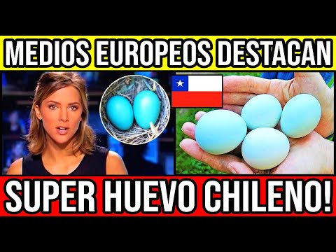 Medios Europeos 🇩🇪🇪🇦🇬🇧 DESTACAN Super Huevo Chileno 🇨🇱 #Chile #Valparaiso #ViñaDelMar #BioBi