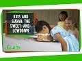 Understanding Sugar and Behavior