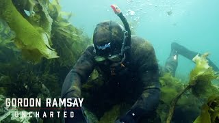 Gordon Ramsay Gets The Catch Of The Day | Gordon Ramsay: Uncharted