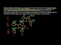 Blood Type and Genotype Relationships