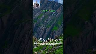 سورۃ الطارق تلاوت قرآن مجید #birds #love #duet #iclamicvideo #لايك #quran #اكسبلور #تيك_توك stelwat