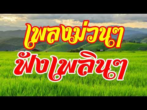 เพลงม่วนๆฟังเพลินๆ