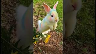 Schöne Frühlings-Vollmondnacht 🐰🌕😎