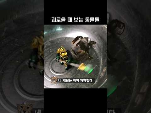 괴로울 때 보는 동물들