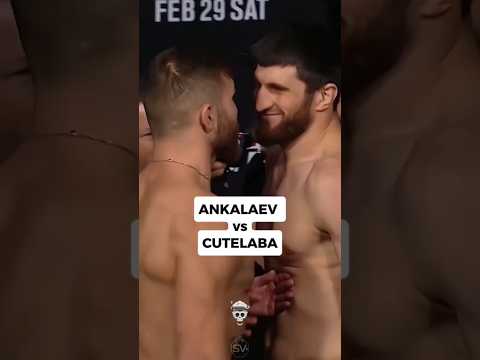 Magomed ankalaev ufc