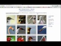 Bird Adaptations and Identification