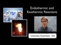 Exploring Endothermic and Exothermic Reactions