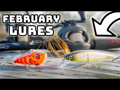 Fish THESE Lures To Catch February Bass!