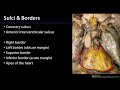 Heart Anatomy and Function Assessment
