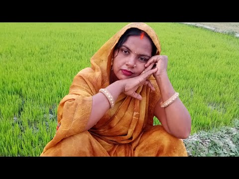 भतार मोर बकलोल@# Suman Bhauji