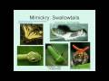 Pollination and Defense Mechanisms in Animals