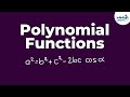 Understanding Polynomial Functions Concepts