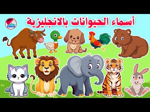 اسماء الحيوانات باللغة الإنجليزية للأطفال - اصوات الحيوانات على قناة تعلم  - Animals in English